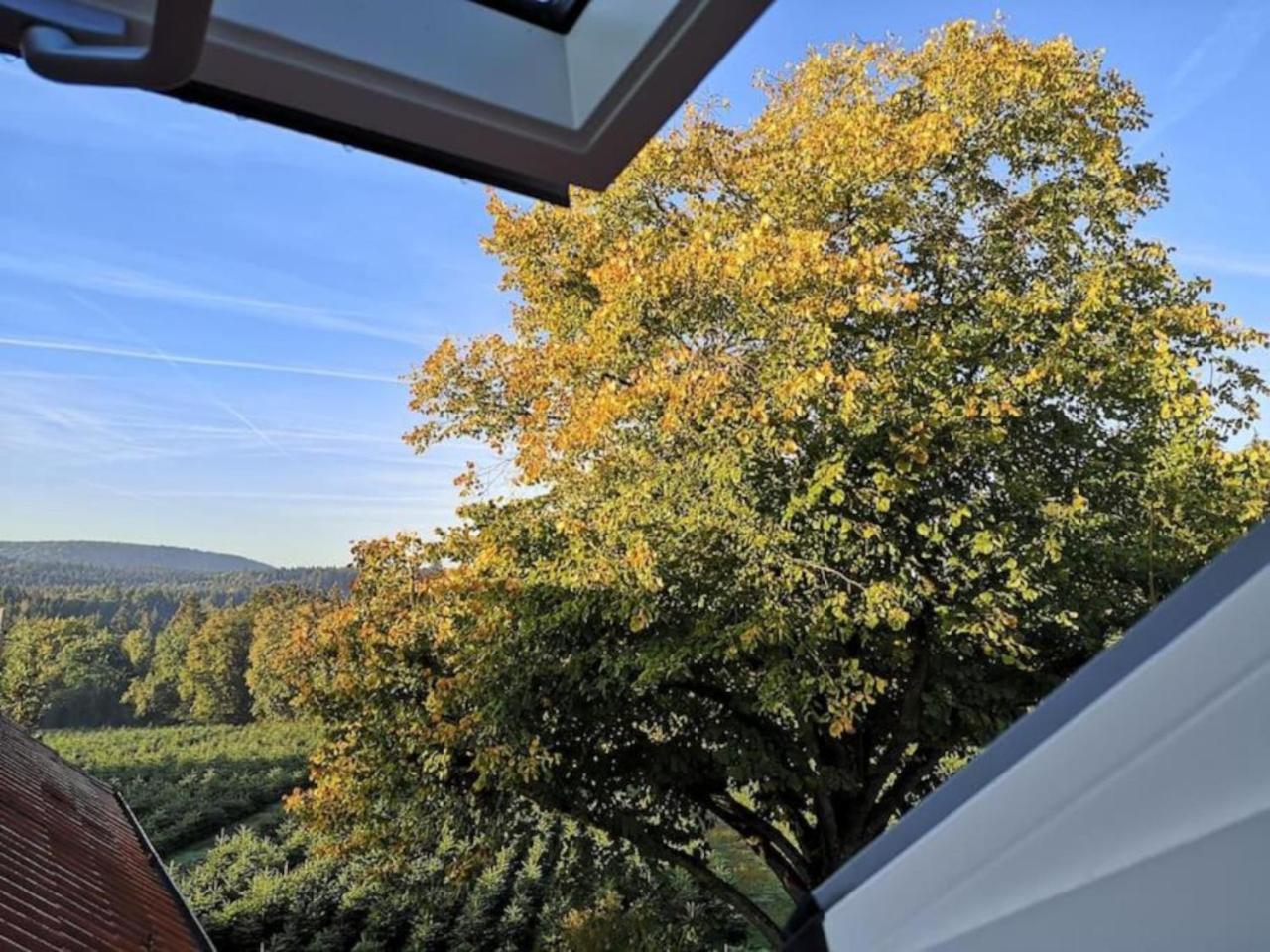 Appartamento Gruene Oase Im Teutoburger Wald Georgsmarienhütte Esterno foto